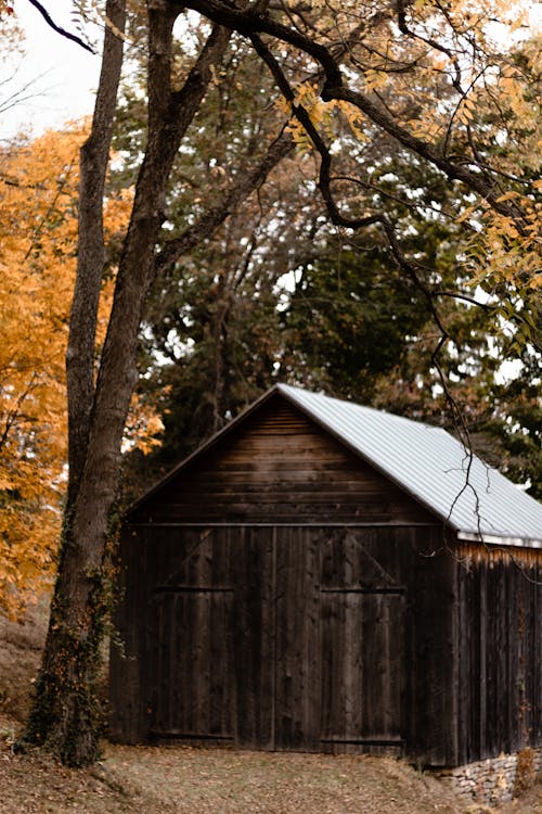 Wooden barn surrounded by vibrant fall foliage