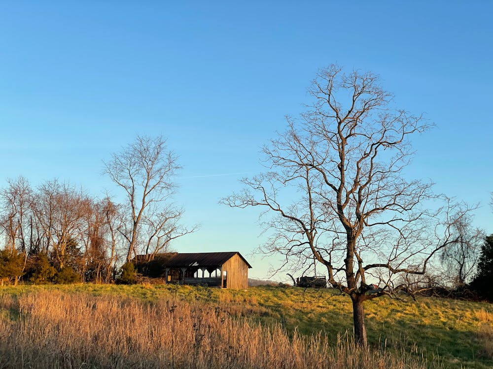 Wooden barn in a peaceful rural setting
