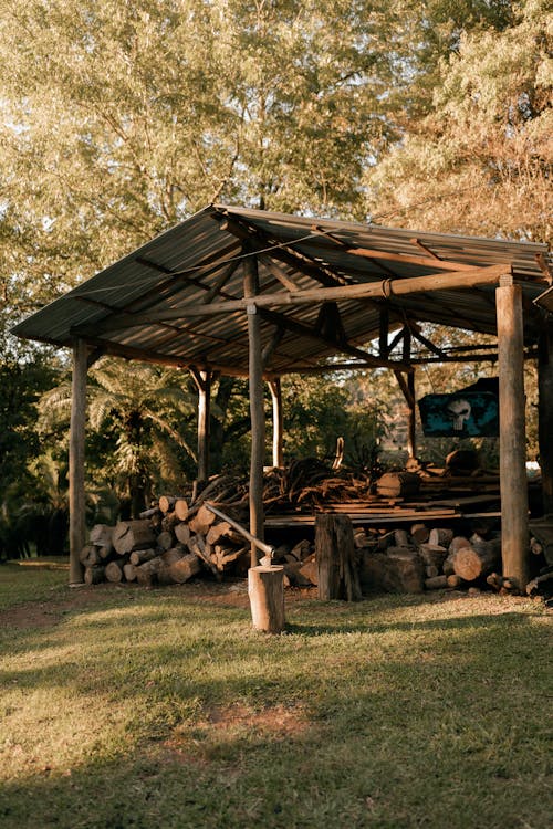 Rustic wooden shed surrounded by stacked firewood and greenery