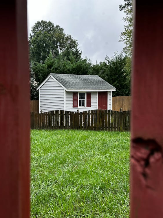White shed with red shutters in a garden setting